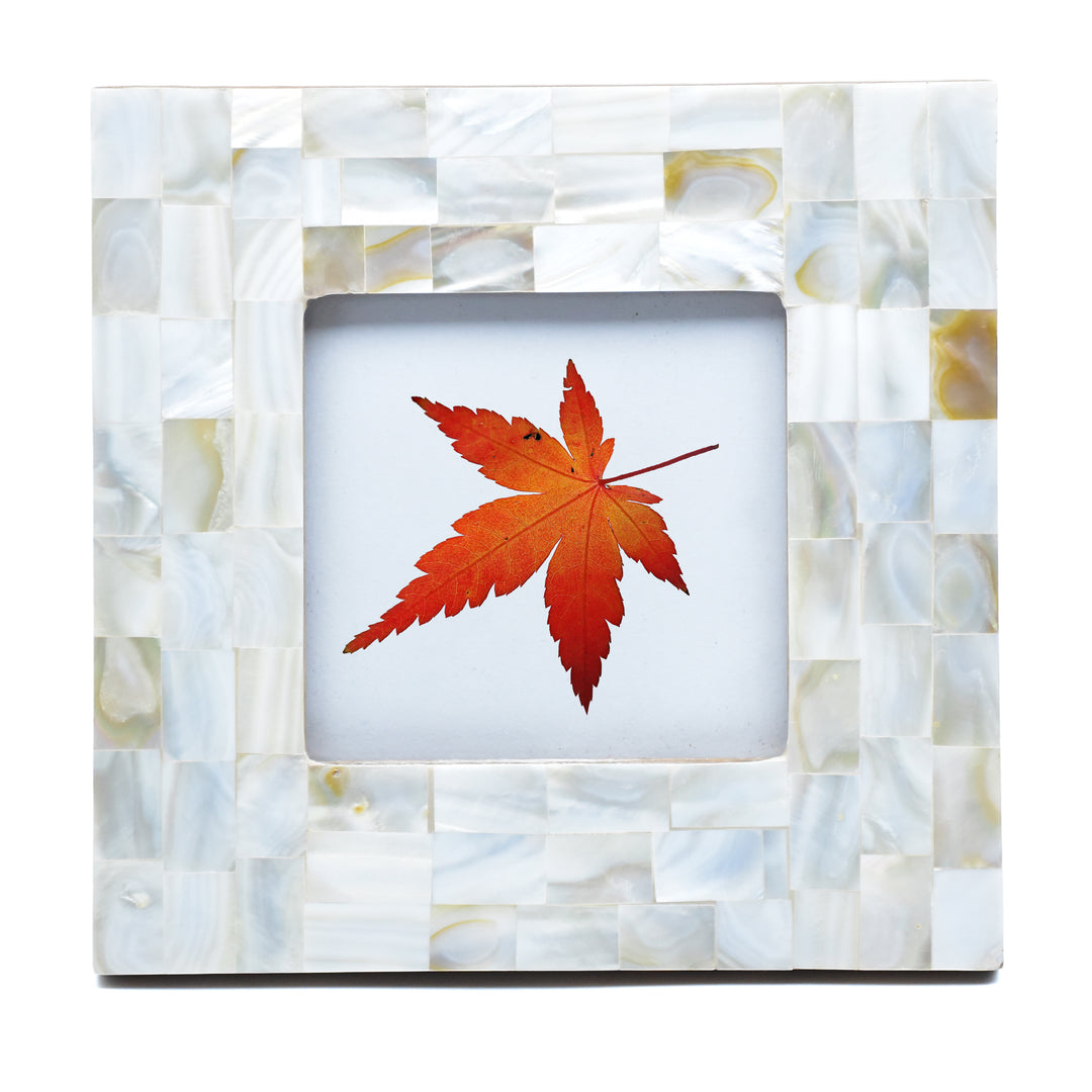 Handmade Bone Photo Frame | Intricate Carved Picture Frame | 4x4 &amp; 6x4 Inch | SHILPWARE