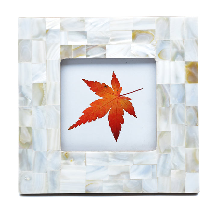 Handmade Bone Photo Frame | Intricate Carved Picture Frame | 4x4 &amp; 6x4 Inch | SHILPWARE