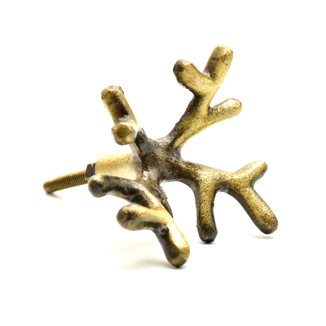 Brass Animal Drawer Knob | Handmade Iron Cabinet Pull | Bronze Knob | SHILPWARE