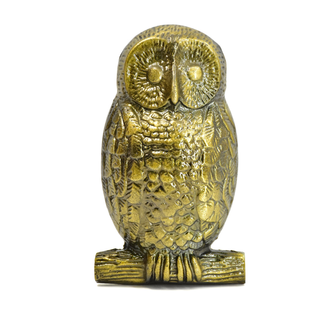 Handmade Brass Door Knocker | Dog, Owl, Shell Designs | SHILPWARE
